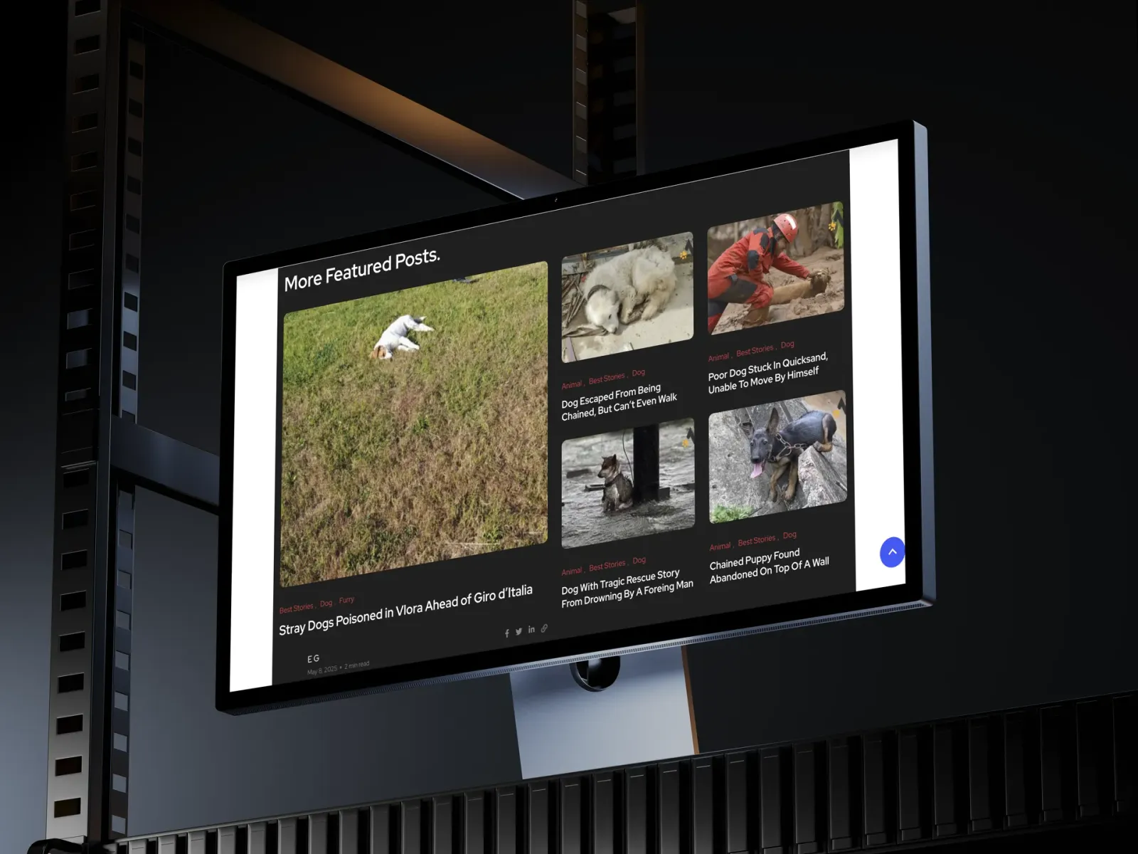 News Animals Fluencer screenshot 3
