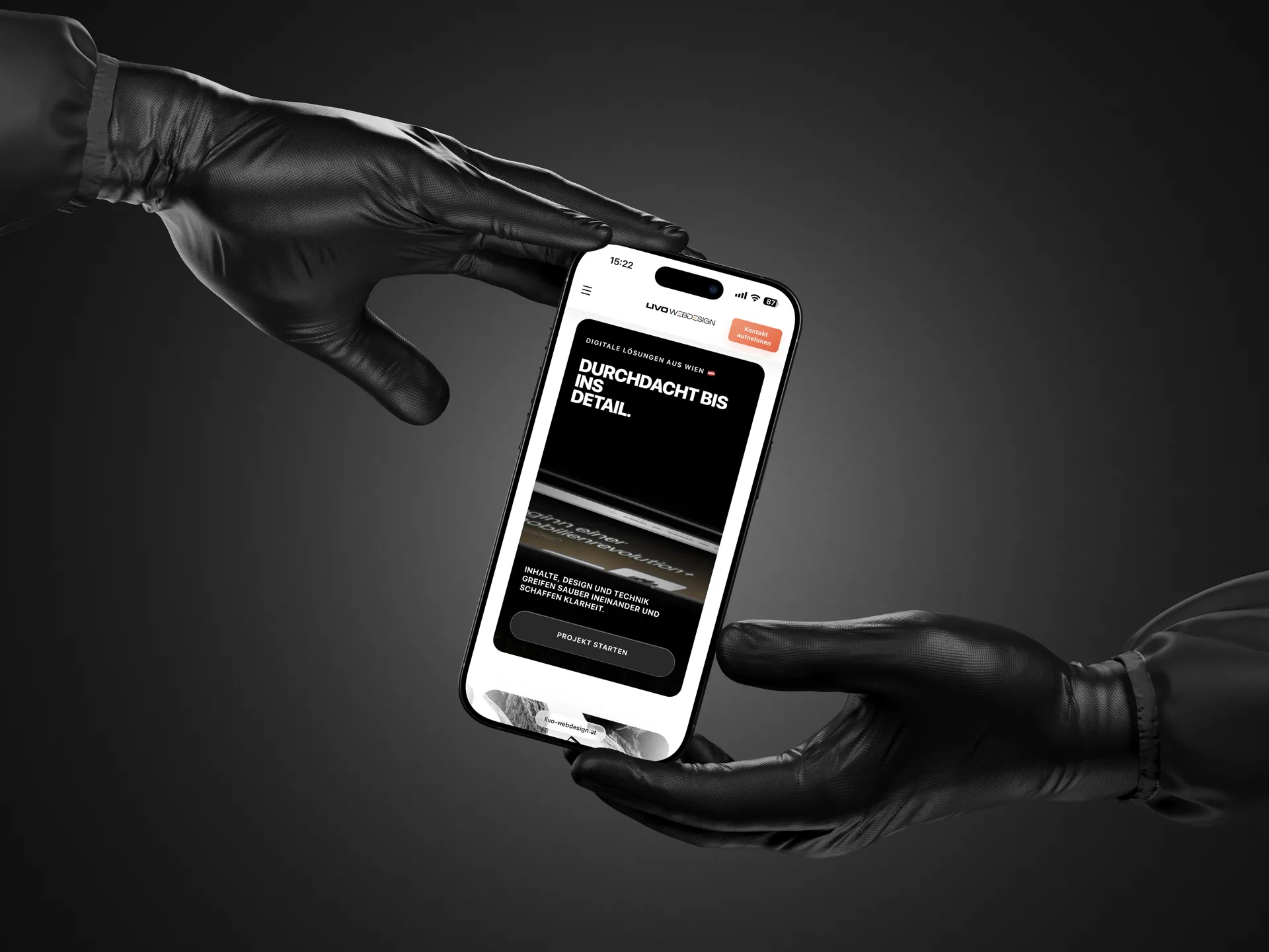 Livo WebDesign screenshot 2